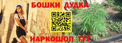 бошки Ставрополь