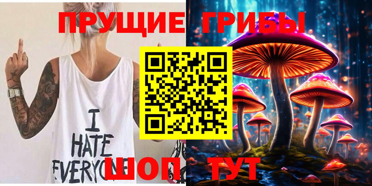 Псилоцибиновые грибы Psilocybine cubensis Альметьевск