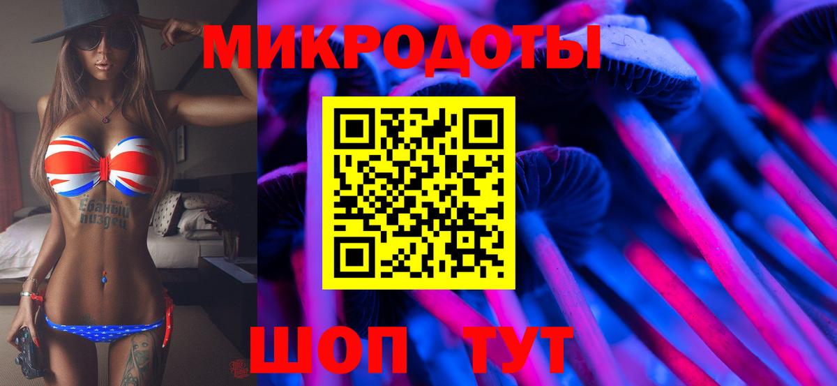 Галлюциногенные грибы прущие грибы  Вход с VPN  как найти   Альметьевск  Галлюциногенные грибы Psilocybe 